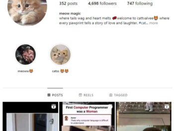 4K Cat Memes Instagram Account for sale