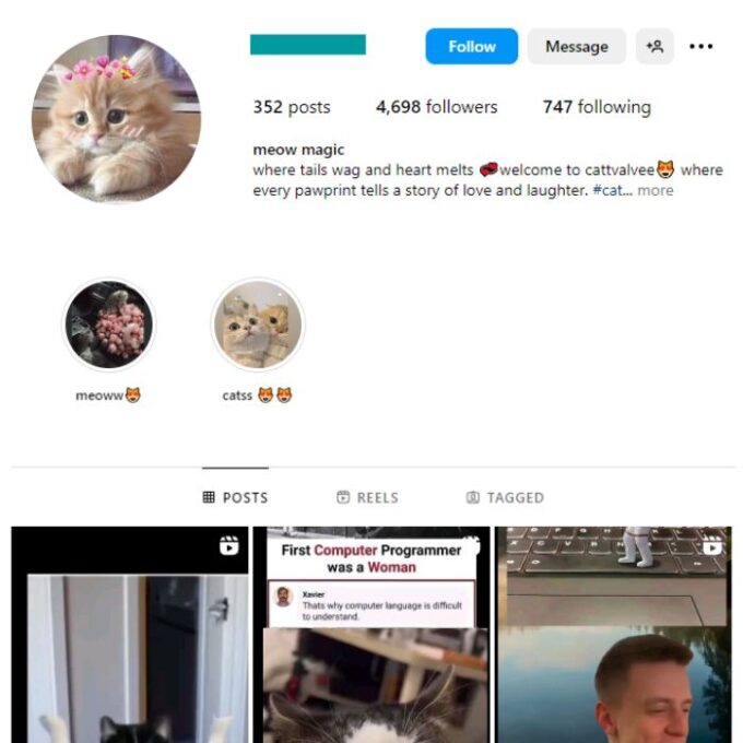 4K Cat Memes Instagram Account for sale