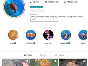 85K Ocean Sea Life Instagram Account for sale