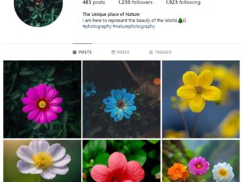 1K Beautiful Flowers Instagram Account for sale