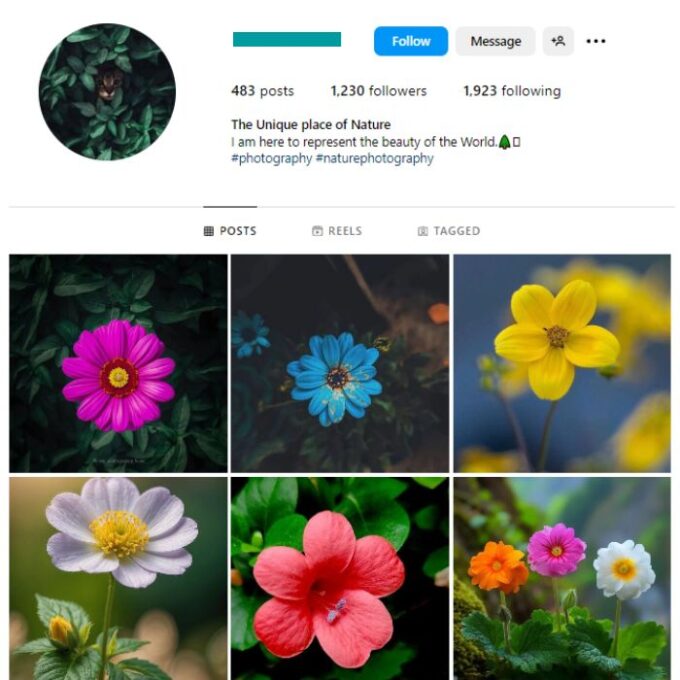 1K Beautiful Flowers Instagram Account for sale