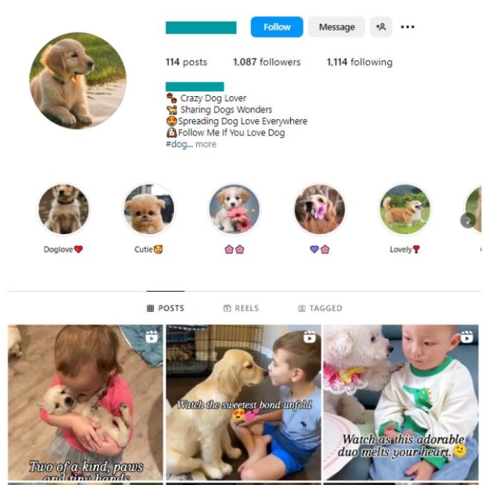 1K Dogs Pets Instagram Account for sale
