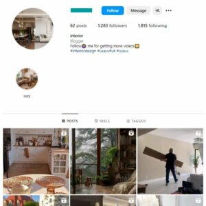 1K Luxury Mansions Interior Instagram Account for sale