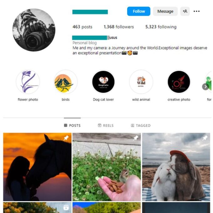1K Nature Animals Instagram Account for sale