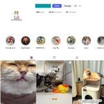 25K Viral Cats Instagram Account for Sale