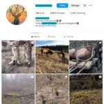 2K Hunting Animals Instagram Account for sale