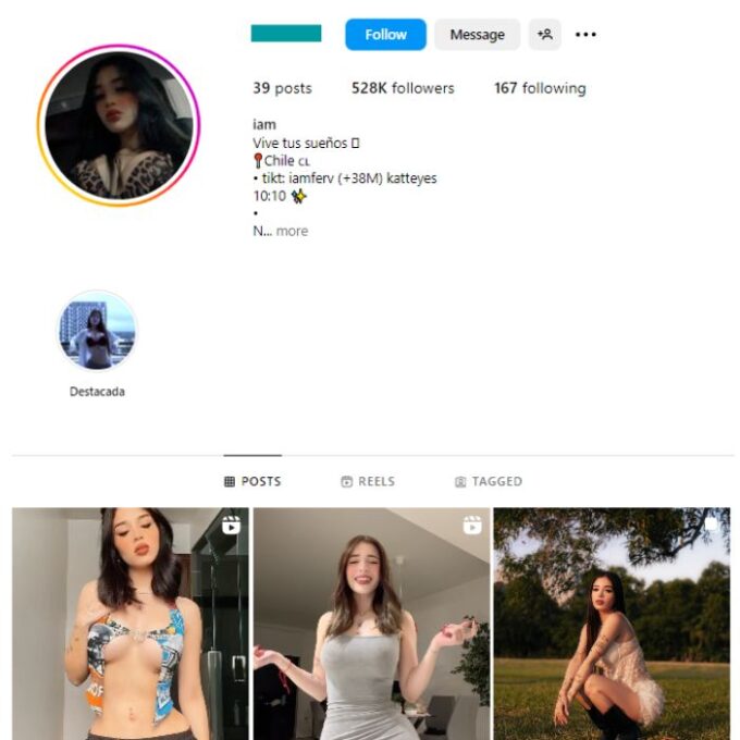 520K Babes Models Instagram Account for sale