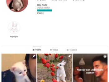 6K Kittens Cats Instagram Account for sale