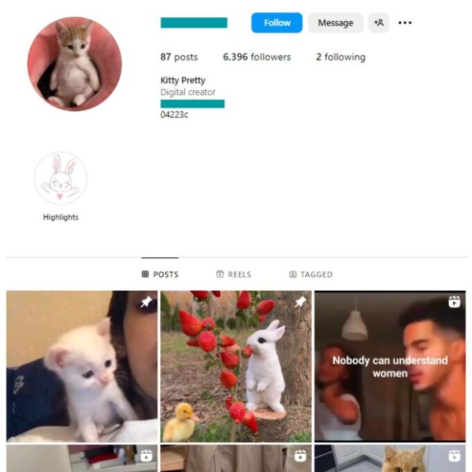 6K Kittens Cats Instagram Account for sale