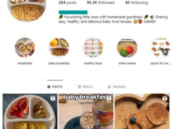 90K Baby Food Instagram Account for sale