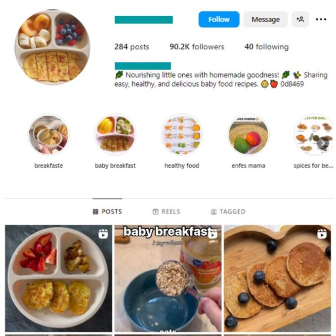 90K Baby Food Instagram Account for sale