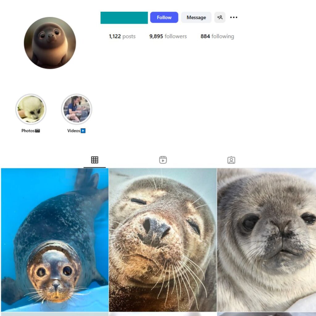 9K Seals Animal Instagram Account for Sale