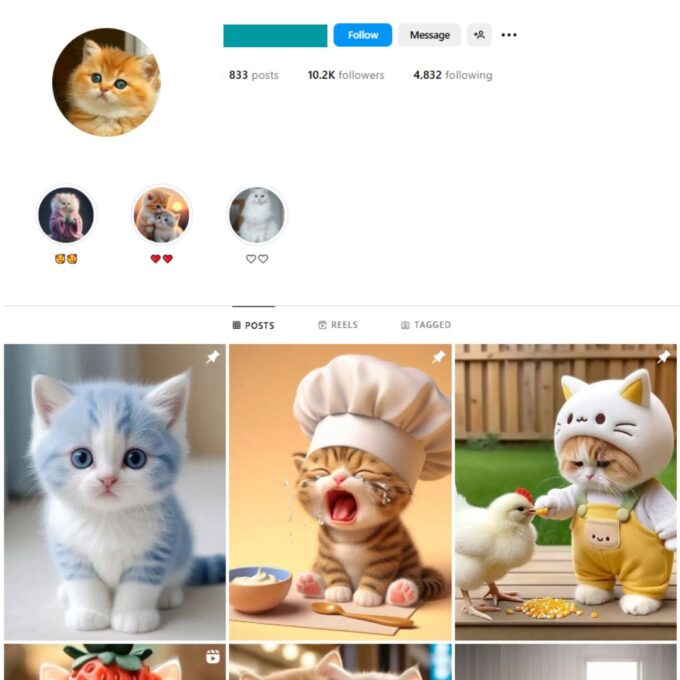 10K Cute Cats Instagram Account for Sale