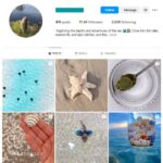 17K Fish Ocean Instagram Account for sale