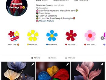 18K Flowers Photography Instagram Account for sale