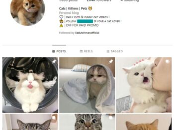 200K Viral Cats Instagram Account for sale