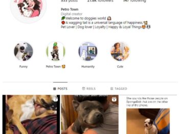20K Dogs Pets Instagram Account for sale