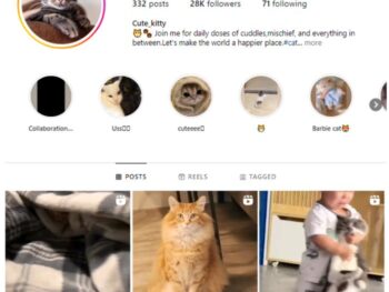 28K Pets Cats Instagram Account for sale