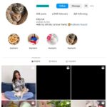 2K Cats Pets Instagram Account for sale