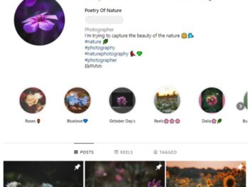 2K Nature Flowers Instagram Account for sale
