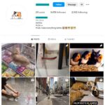 3K Kittens Cats Instagram Account for sale