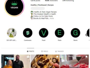 400K Vegan Food Instagram Account for sale
