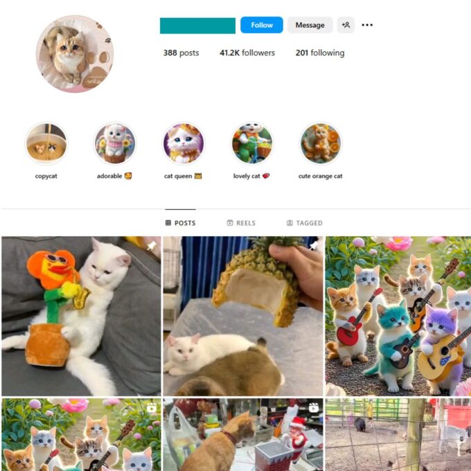 40K Cute Cats Instagram Account for Sale