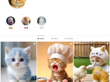 4K Pets Cats Instagram Account for Sale