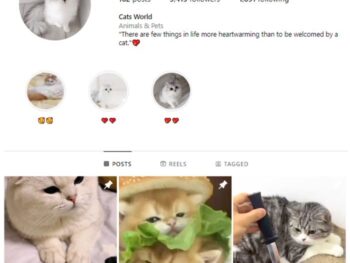 5K Pets Cats Instagram Account for sale