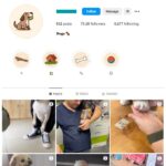 70K Pets Dogs Instagram Account for sale