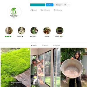 14K Interior Design Plants Instagram Account for Sale