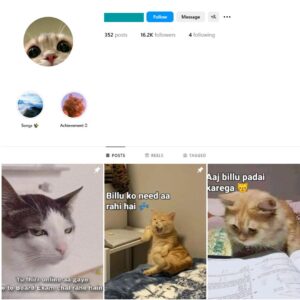 15K Cat Memes Instagram Account for Sale
