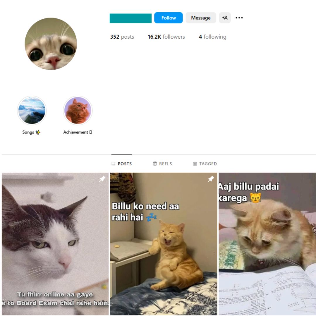 15K Cat Memes Instagram Account for Sale