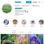 25K Beautiful Flowers Instagram Account for sale