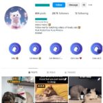 28K Cute Cats Instagram Account for sale