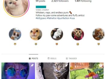 2K Pets Cats Instagram Account for sale