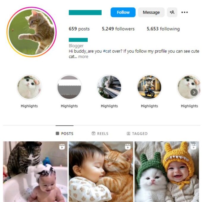 5K Cute Cats Instagram Account for sale