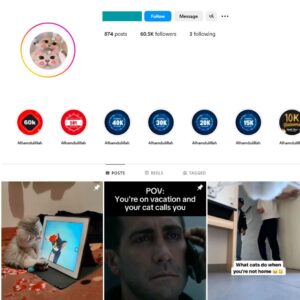 60K Cats Pets Instagram Account for Sale