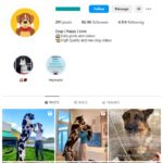 85K Puppies Dogs Instagram Account for sale