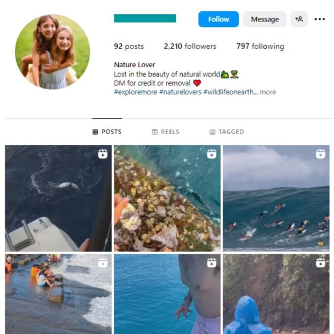 2K Animals Wildlife Instagram Account for sale