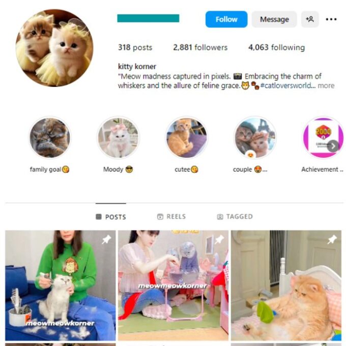 2K Kittens Cats Instagram Account for sale