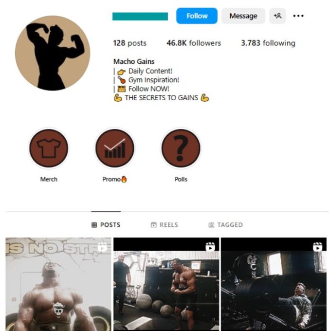 45K Bodybuilding Fitness Instagram Account for sale