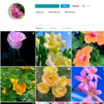 13K Nature Photography Instagram Account for Sale