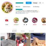 13K Pets Rabbits Instagram Account for sale