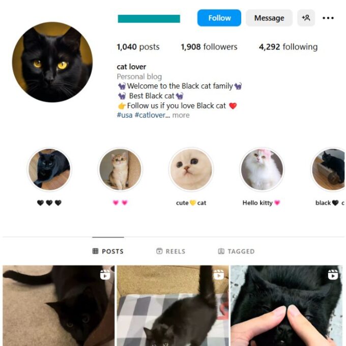 1K Kittens Cats Instagram Account for sale