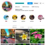 1K Nature Flowers Instagram Account for sale