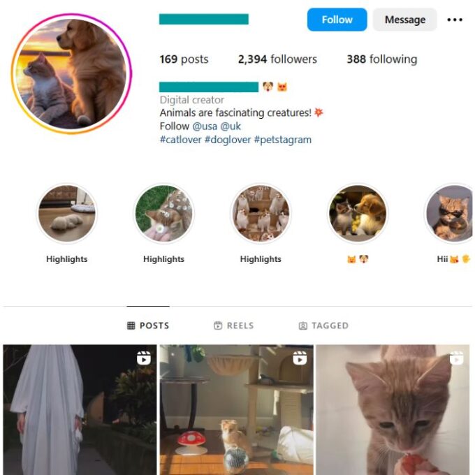 2K Pets Cats Instagram Account for sale