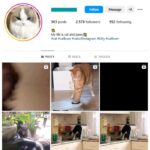 2K Pets Cats Instagram Account for sale