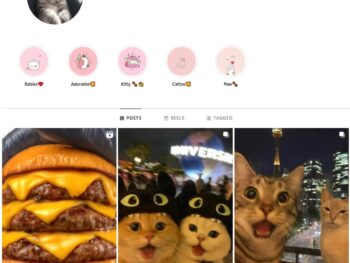 30K Kittens Cats Instagram Account for Sale