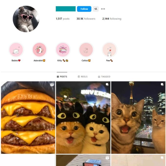 30K Kittens Cats Instagram Account for Sale